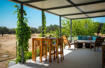 Herdade dos Alfanges "THE BARN" - Foto 12