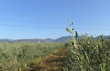 Tenuta degli Ulivi - Dimora Contadina - Foto 68