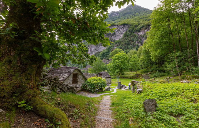 Garden On The Lake in Gambarogno Vira - Foto 48