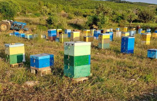 SOHORO Forest Hill Spa by "elite" - Foto 35