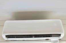 Los Angeles Red Rose - Foto 52