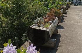 Green Sunrise House - Photo 56