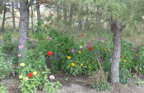 Quiet Newcastle Apartment with Step-Free Access - Foto 21