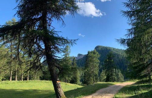 Residence Bellavista - Photo 15