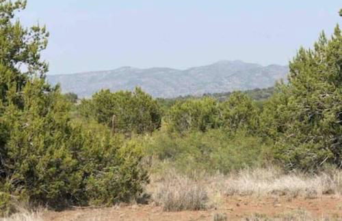 Cottonwood Creek Cabins - Alpine, TX - Foto 57