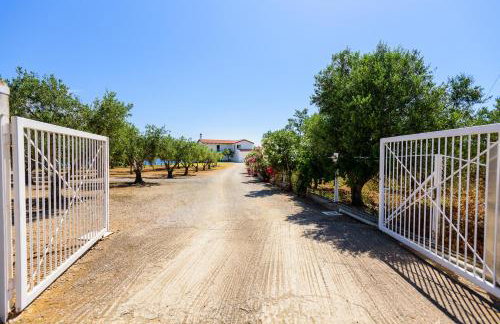 Finisia House - Foto 79