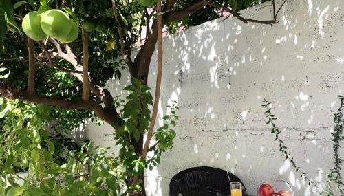 Tap Apartments - in Independent House with Private Garden - Foto 4, Garden, Garden view