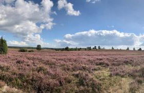 Zum Bothmerschen Krug - Photo 15