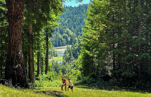 Mendocino Redwood Retreat Home & Cottage - Foto 57