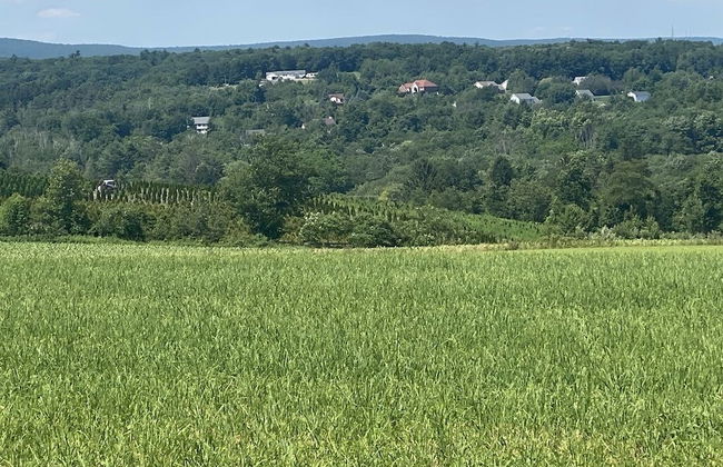 Chestnuthill Countryside Manor - Photo 26