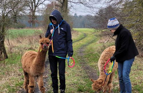 Märchenhaft urlauben auf dem Alpakahof - Foto 51