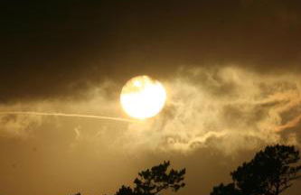 Dream By The Sea - Photo 74