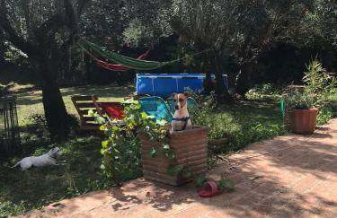 Il Giardino Secreto - Foto 42