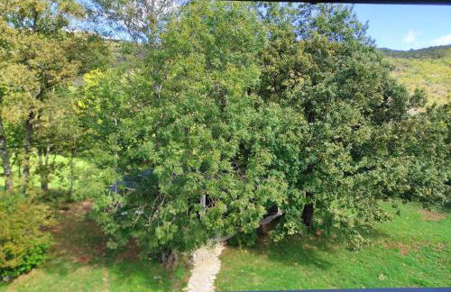 Lika Relax and Party House with sauna, jacuzzi and outdoor heated swimming pool - Foto 87