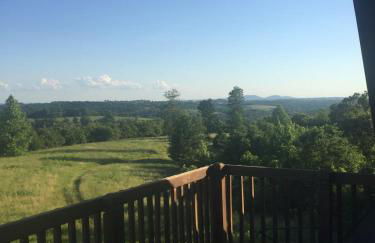 LOG HOME CANINE RETREAT with DOG ART COLLECTION - Foto 23