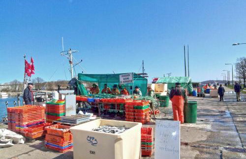 Ferienhaus Gutshof Ostseeblick - Photo 18