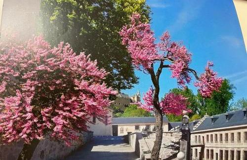 El Jardín de la Alegría - Foto 22