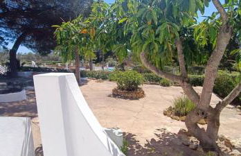 Quinta do Lagar - 08 - Foto 15