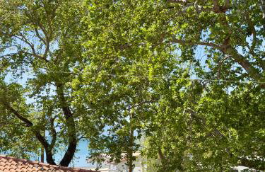 Kyriakos Apartments - Photo 9