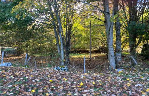 La casa nel bosco-Val Granara guesthouse - Foto 19