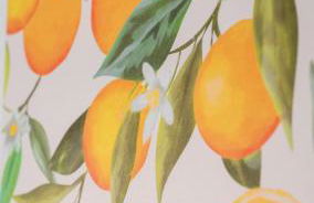 Hillview House - Foto 30