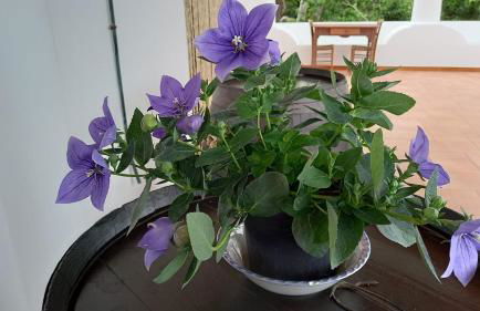 Agriturismo SoleMare - Foto 9