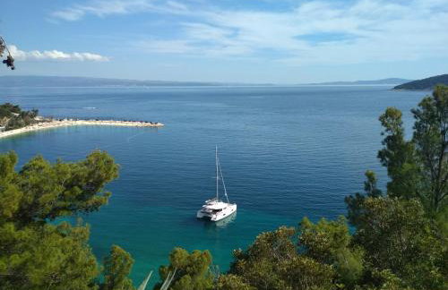 STAR of the SEA 2 - Photo 49