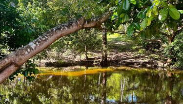 Sítio Encanto do Delta - Foto 2