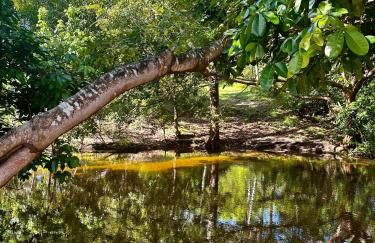 Sítio Encanto do Delta - Photo 2