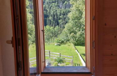 CHALET SAUNA AU PIED DES PISTES - SAINT JEAN D'AULPS STATION - 14 PERSONNES - CHALET PHOENIX - Foto 14