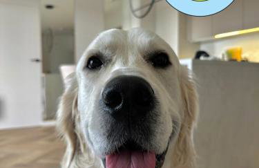 MG52 Luksusowy apartament z widokiem na Zalew Zegrzyński - Foto 13