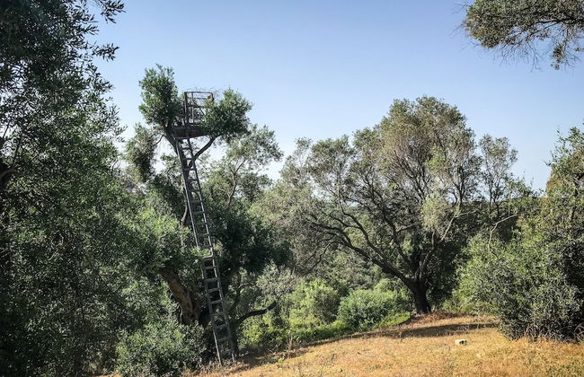 Hidden gem in nature reserve on the beach - Foto 36