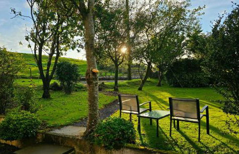 Ash Cottage - Photo 11