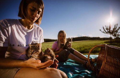 Stixenhof - Ferienwohnung Heidi Nehmeier - Foto 16