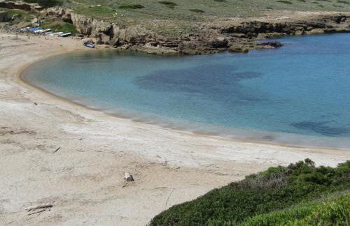 Le Palme Holidays - Foto 78