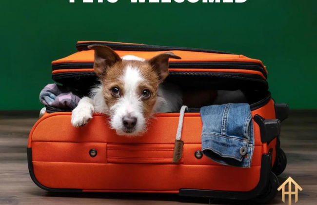 4 Queen Beds High Speed Wifi Private Parking - Foto 1