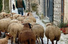 maison aux Baux de Provence - Foto 9