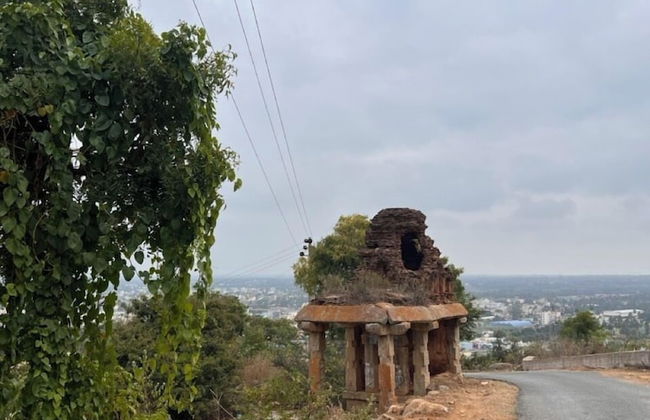 A2- Hill View Stay Kolar - Foto 69