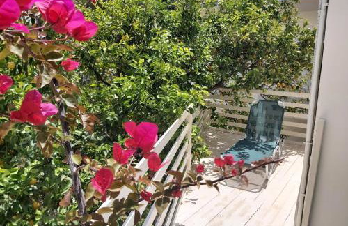 Antonios 1 - Photo 71