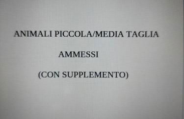 LA CONCHIGLIA - Sirolo Suite - Foto 48