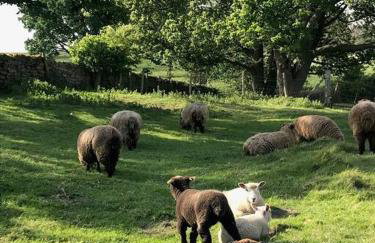 Ilkley Garden Suite - Photo 37