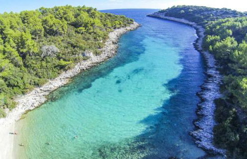 Villa Sofia Zavalatica - Foto 6