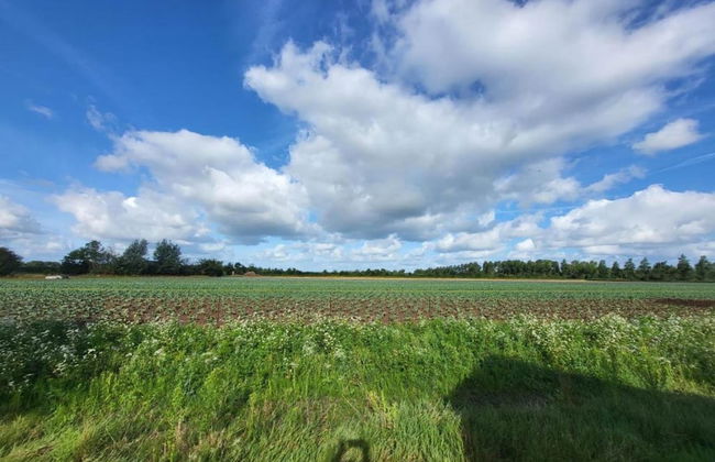 Holiday Home in Vrouwenpolder Near Beach - Foto 26