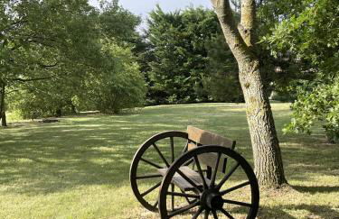 Mas de JANNE - Foto 15