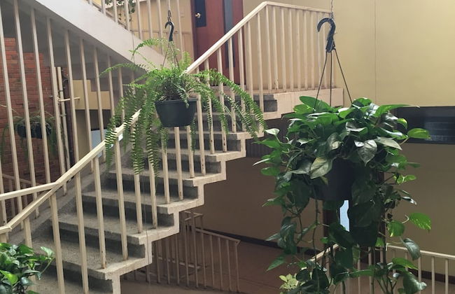 Apartamentos Reforma - Photo 51