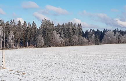 Belka am Rursee - Foto 26