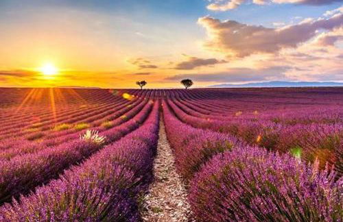 Maison au calme absolue - Foto 78