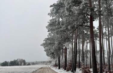 Ranczo pod lasem - Foto 9