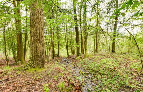 Mountain-View Home in Great Valley with Large Yard! - Foto 32