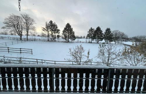 Ferienwohnung auf dem Bauernhof - Hermanns Lodge - Foto 10